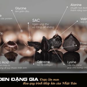 Tỏi Đen loại I của cơ sở Đặng Gia