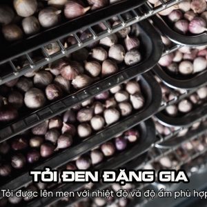 toi-den-dang-gia-loai-1